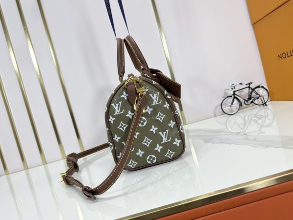 LV Speedy Bandoulière 25 Bag