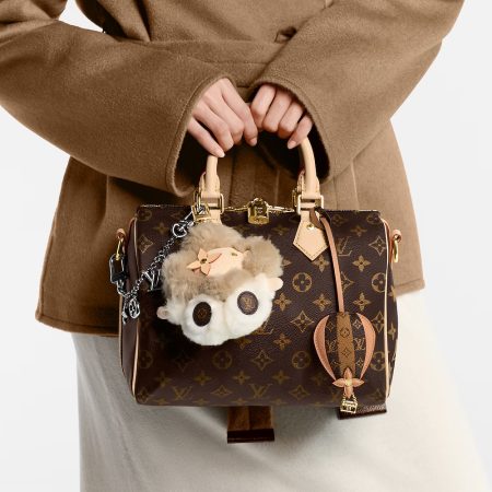 LV Speedy Bandoulière 25 Top Handle Bag - Image 2