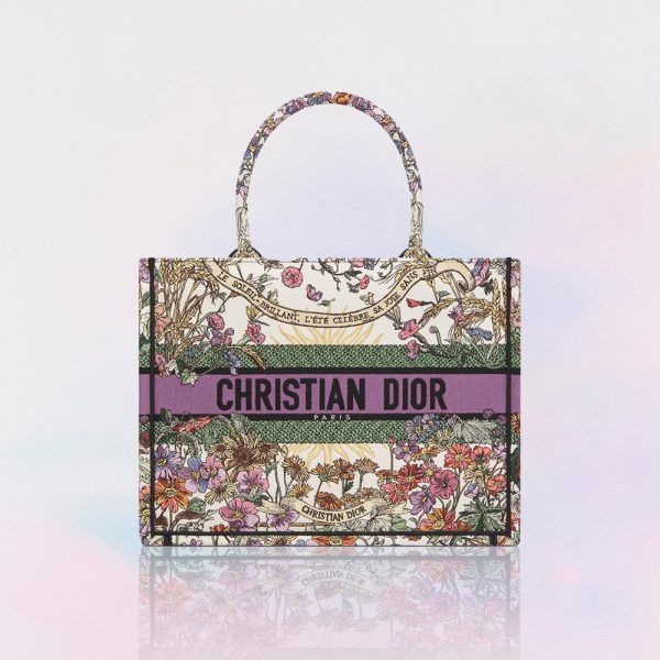 Dior Book Tote Bag