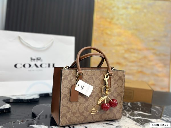 Coach Maggie Series Small Tote Bag
