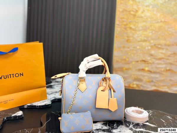 LV Speedy 25 Bag