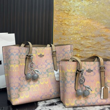 Coach Mollie Tote Bag