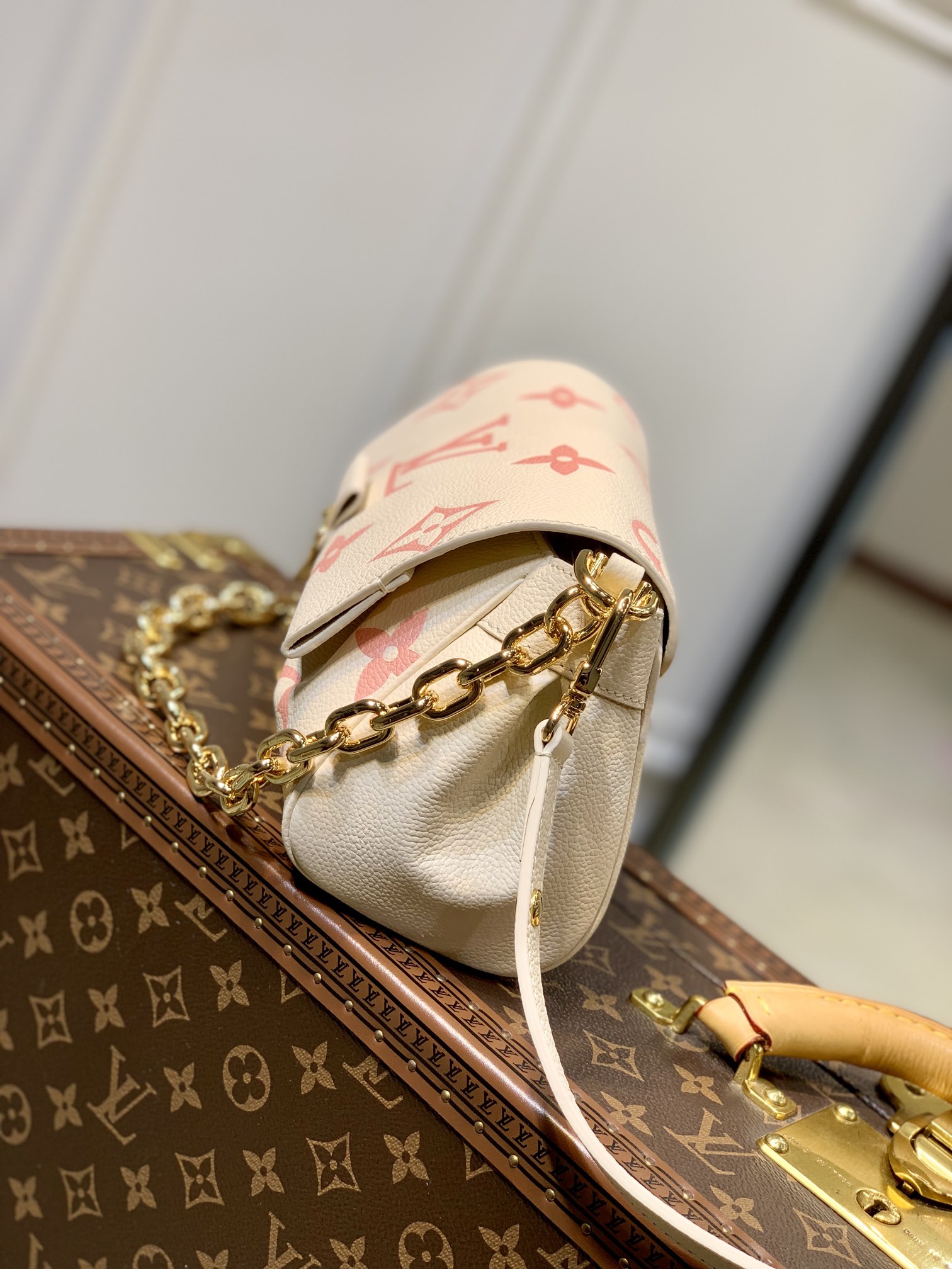 LV Favorite - Image 5
