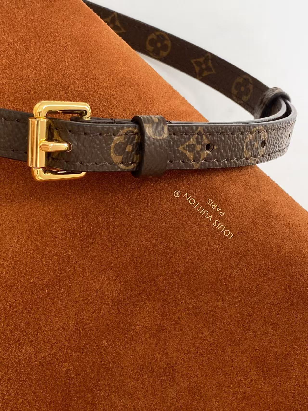 LV Side Trunk Crossbody Bag - Image 4