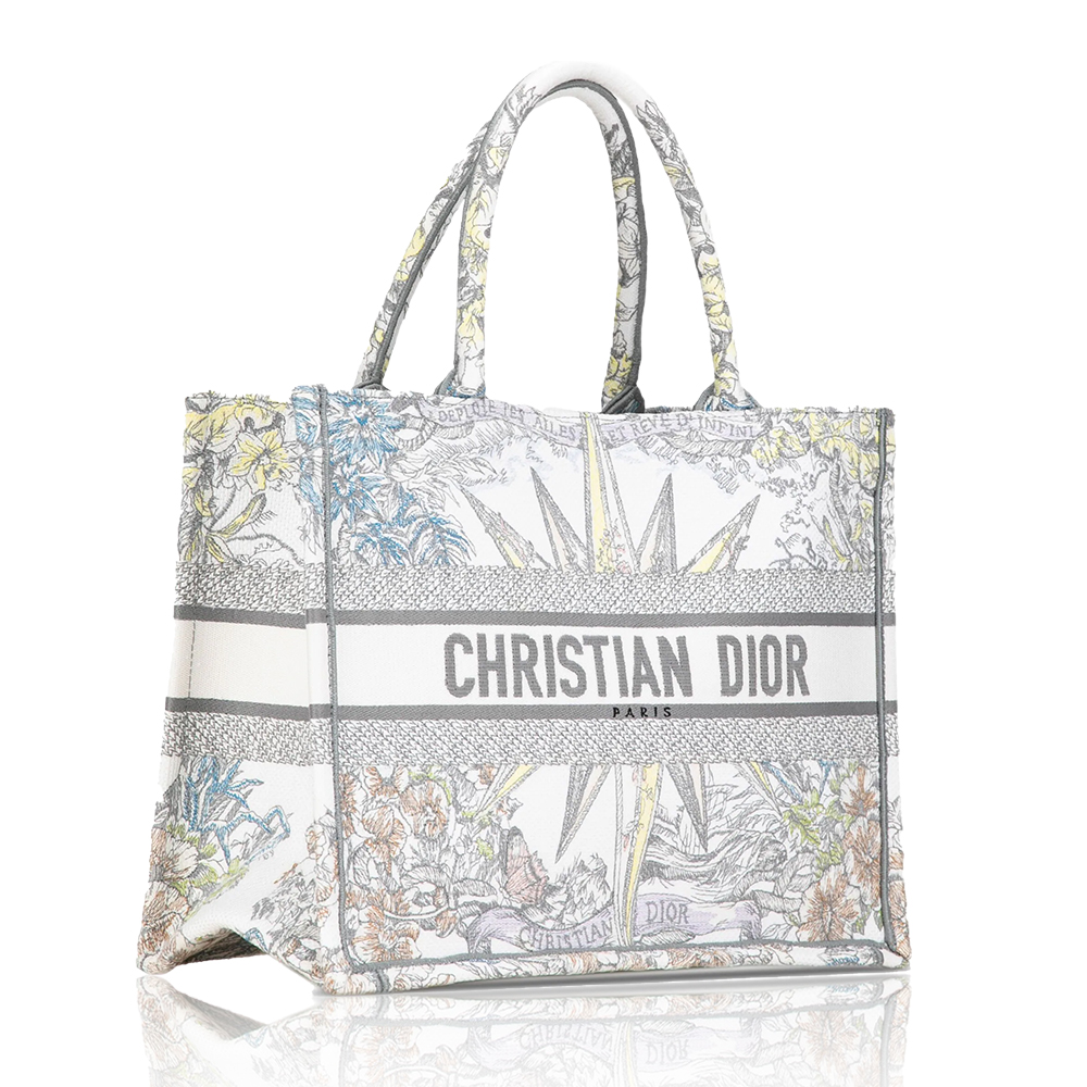 DIOR Book Tote Starlight&Star Tote Bags - Image 1