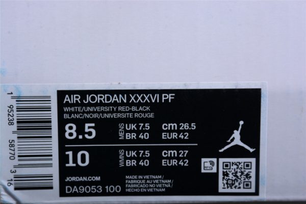 Air Jordan 36 Psychic Energy DA9053-100