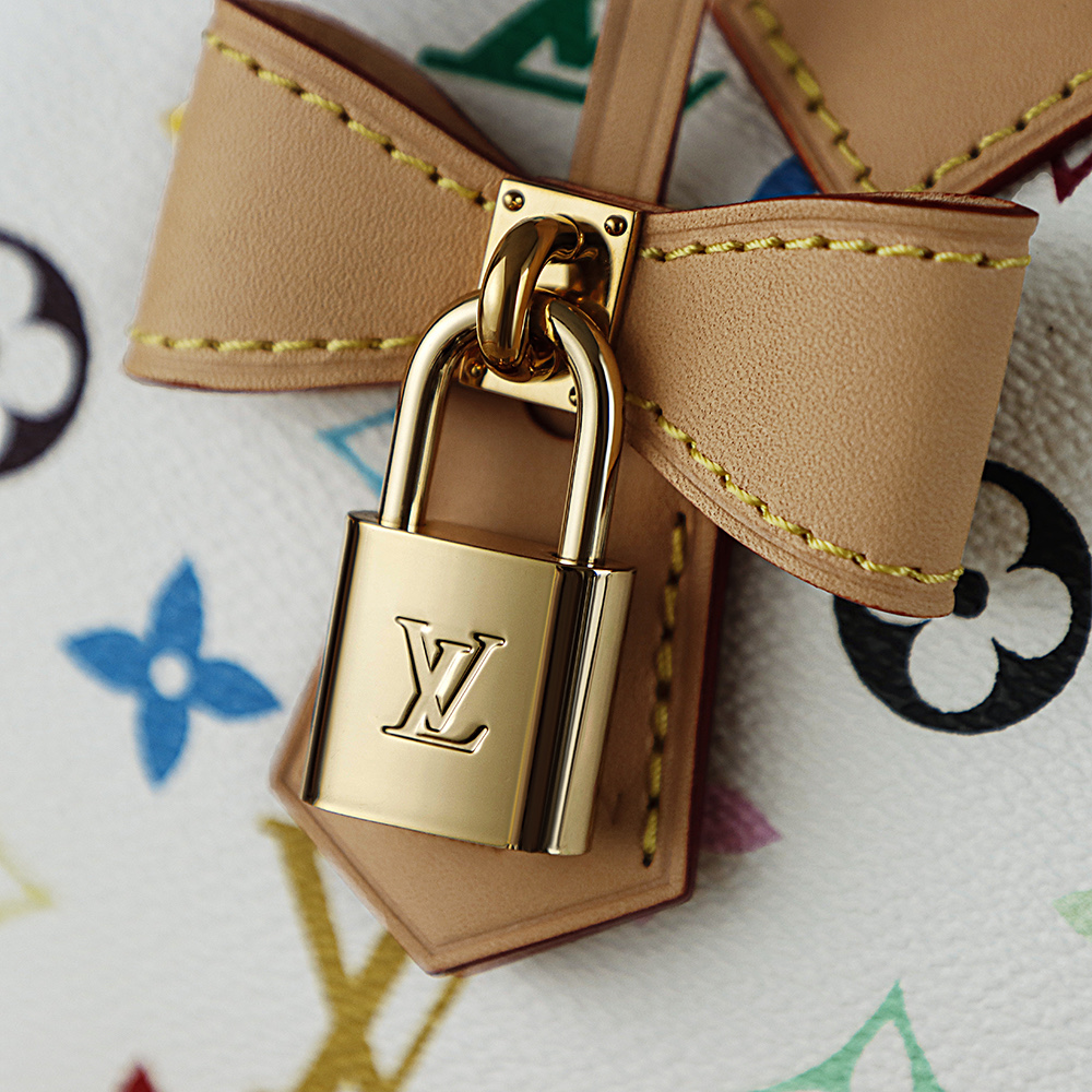 LV x TM Speedy Bandoulière 25 Other Monogram Canvas Bag - Top Quality - Image 10
