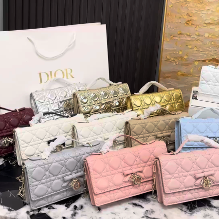 Dior WOC Chain Bag