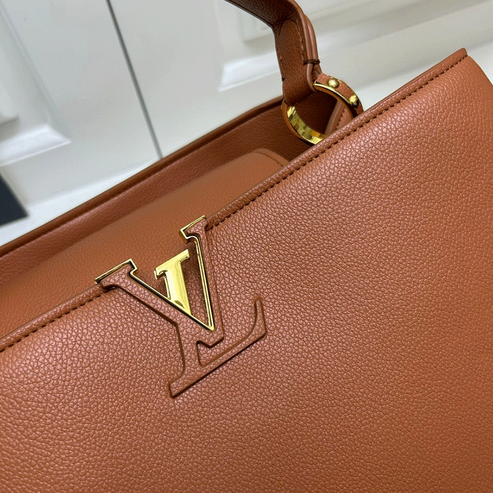 LV Capucines Souple Large Handbags - Image 5