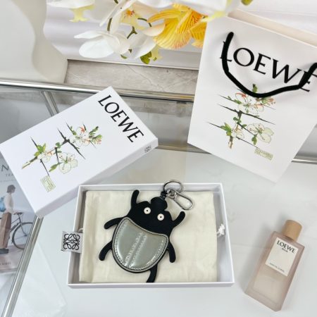 LOEWE Accessories