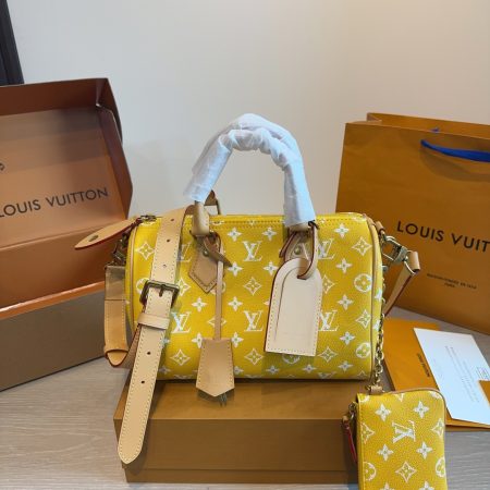 LV Speedy Pillow Bag