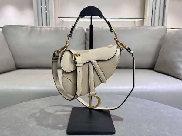 Dior Mini Saddle Bag - 10A Version