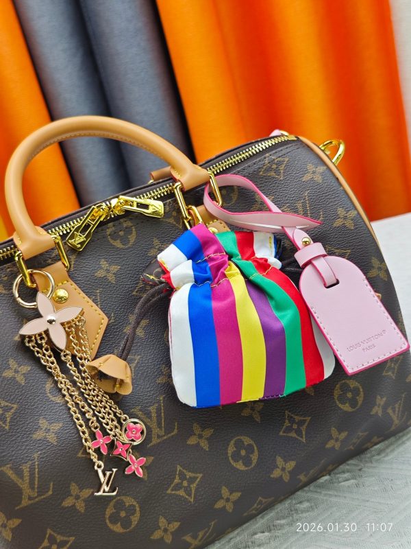LV Speedy 30 Bag