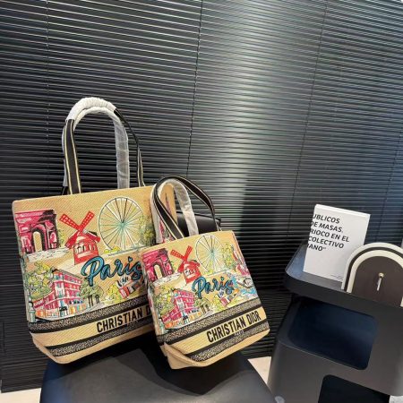 Dior Souvenir Travel Bag