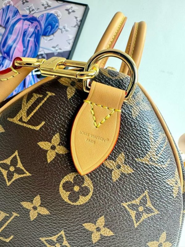 LV Sac Speedy Soft 30 Crafty Bag
