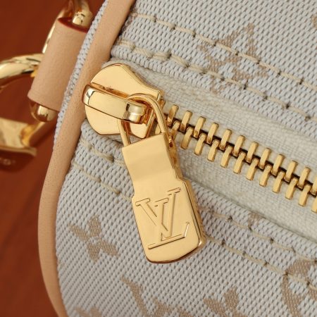 LV Speedy Bandouliere 20 Bag - Image 3