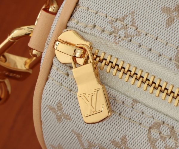 LV Speedy Bandouliere 20 Bag