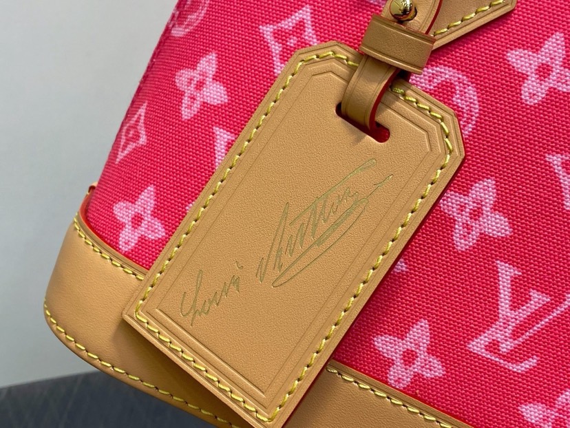 LV Alma BB Other Monogram Anniversary Canvas - Image 7