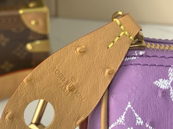LV Speedy P9 25cm Bag