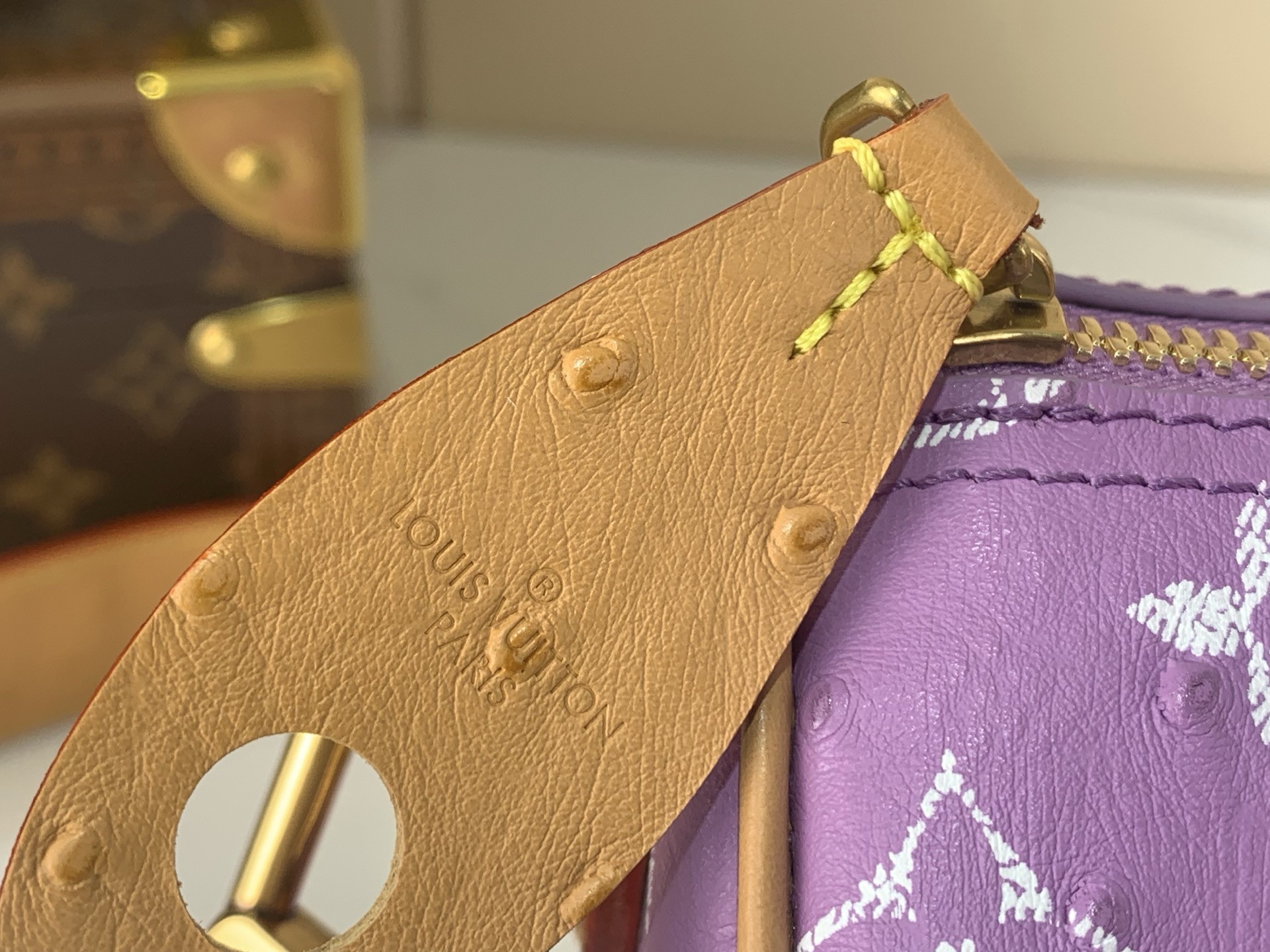 LV Speedy P9 25cm Bag - Image 4