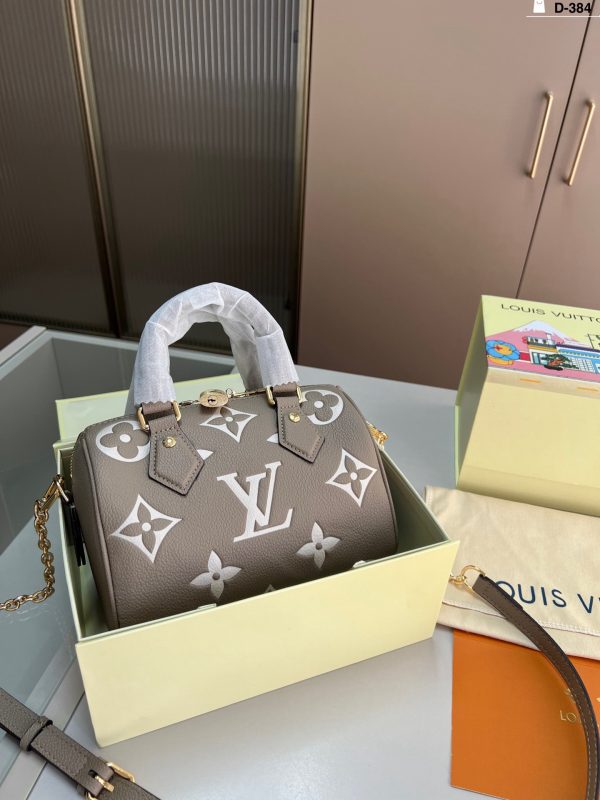LV Speedy 20 Handbag
