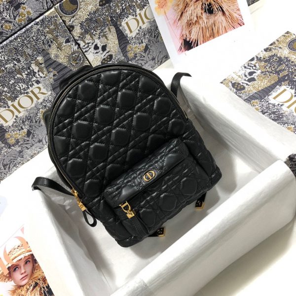 DIOR Shoulder Backpack