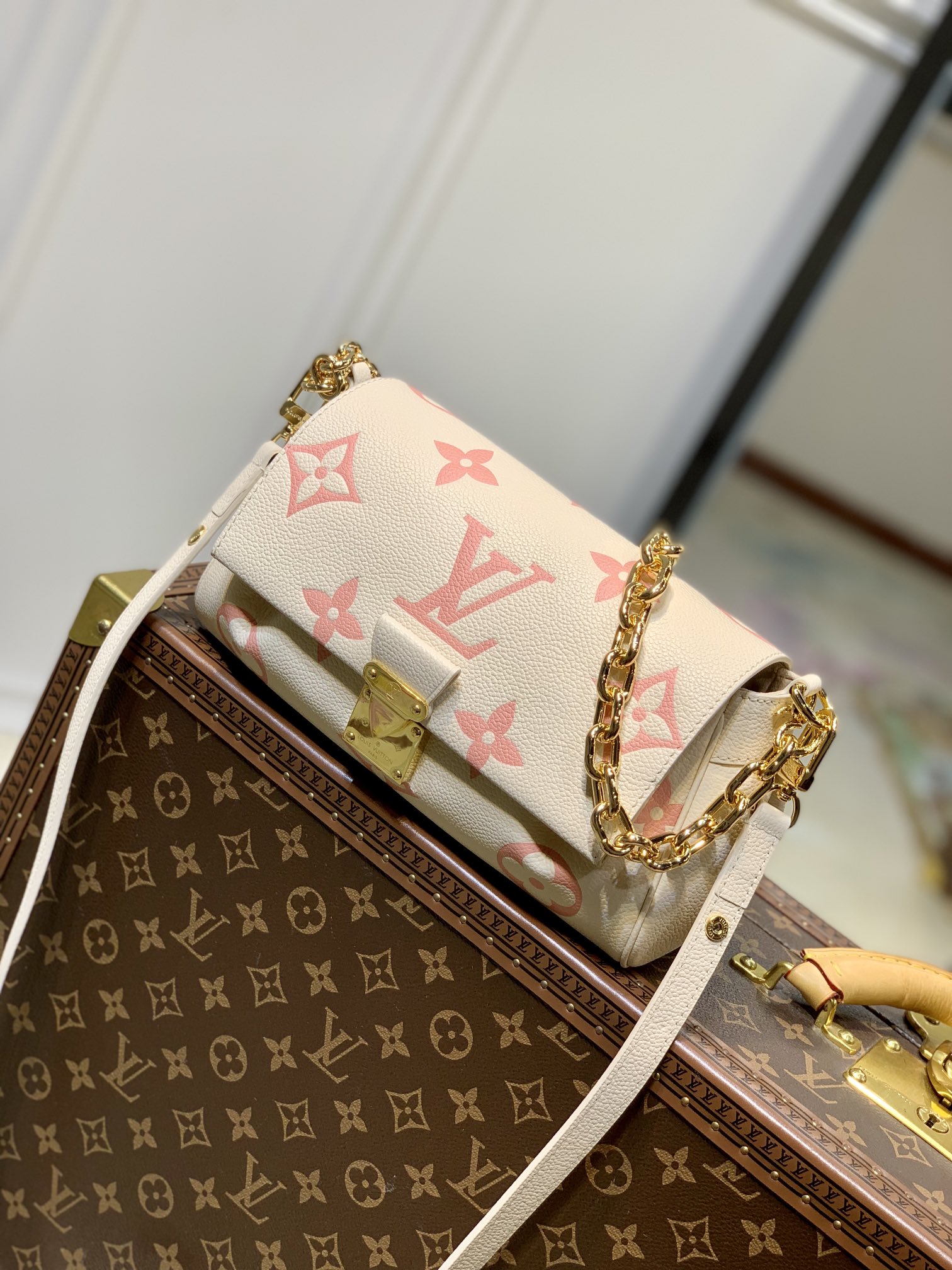LV Favorite - Image 7