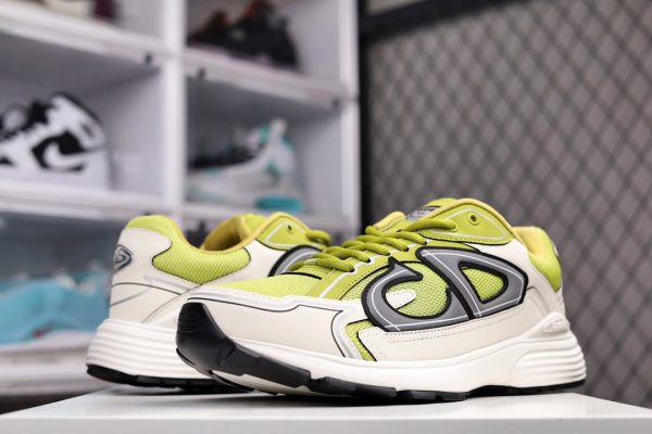 Dior B30 Dad Sneakers Green Biege (1:1 Version)