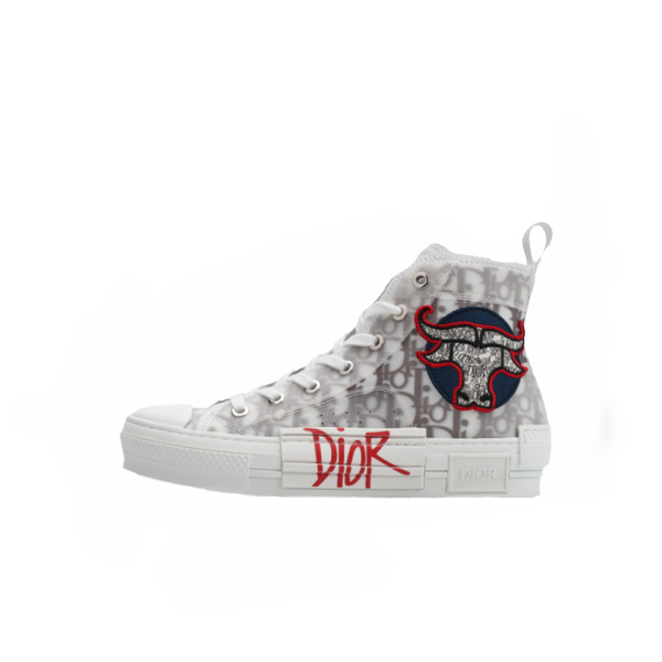 Dior B23 Oblique High Top "Shawn" Shoes