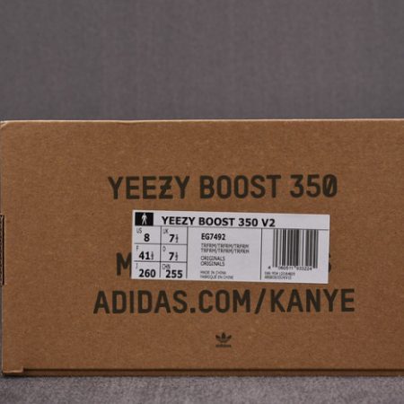 Yeezy Boost 350 V2 True Form EG7492 - Image 7