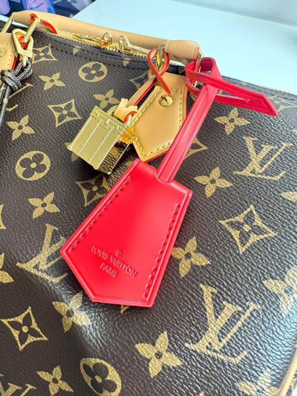 LV Sac Speedy Soft 30 Crafty Bag