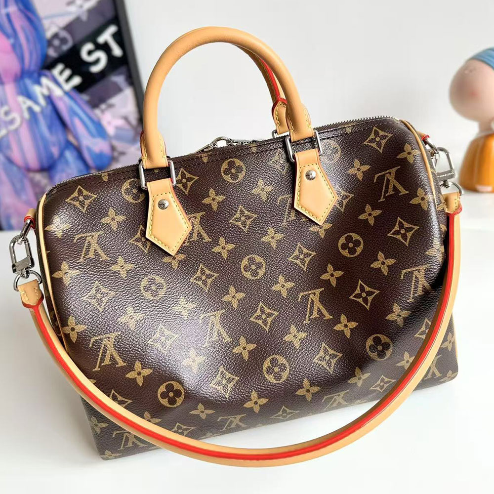 LV Speedy Soft 30 Bag - Image 15