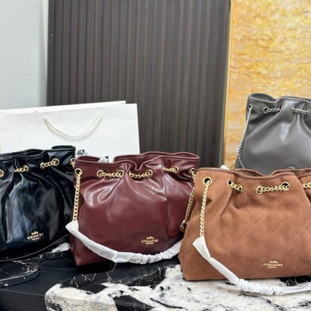 Coach Evelyn Chain Lucky Bag