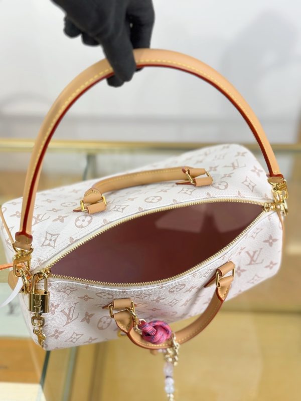 LV Speedy Soft 30 Lucky Bag