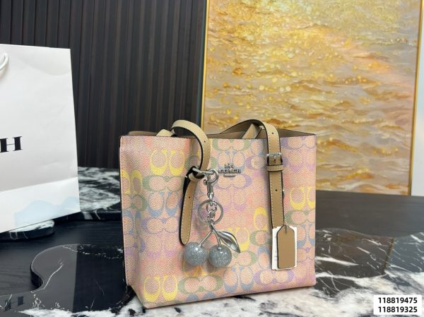 Coach Mollie Tote Bag