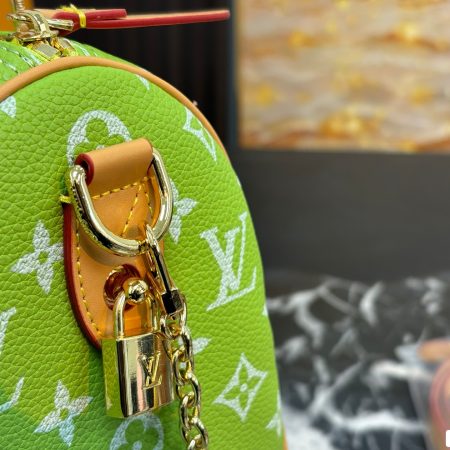 LV Speedy Pillow Bag - Image 17
