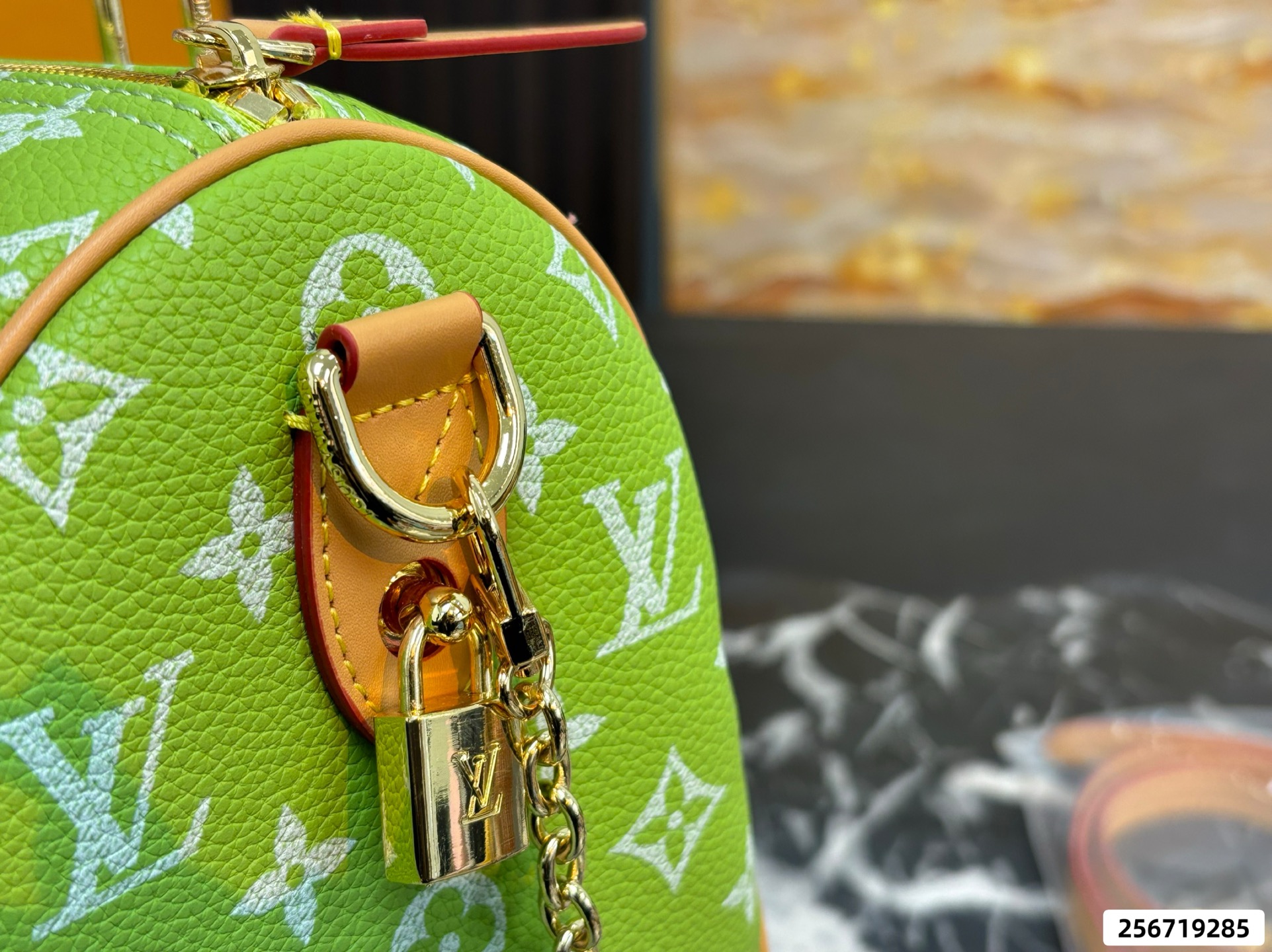 LV Speedy Pillow Bag - Image 17