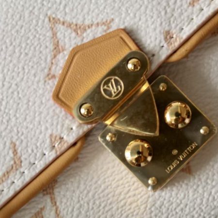 LV Pochette Camille Other Monogram Canvas - Image 5