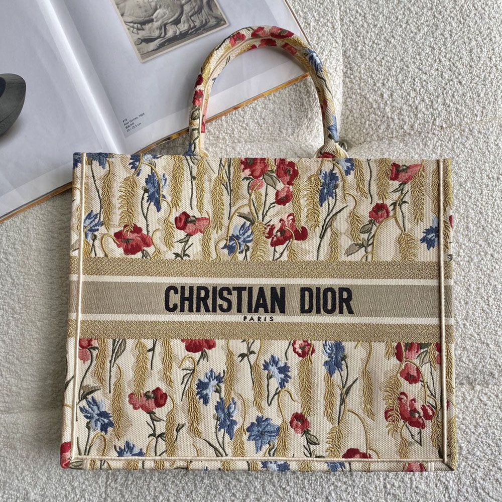 DIOR Book Tote Bags Collection - Image 22