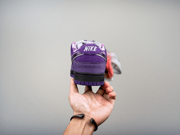 Dunk SB Low Pro “ Purple Lobster"