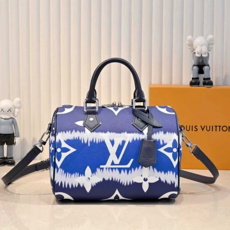 Lv Speedy Pillow Bag