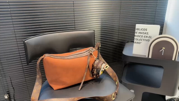 LV Suede Hobo Bag