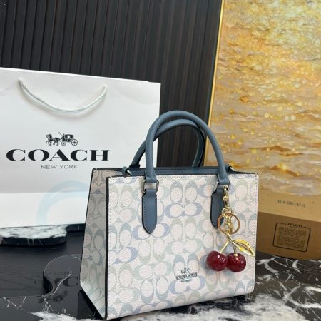 Coach Maggie Series Small Tote Bag - Image 10