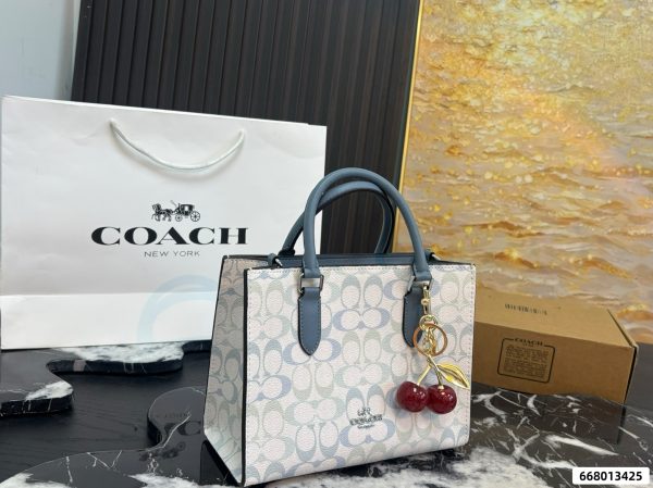 Coach Maggie Series Small Tote Bag
