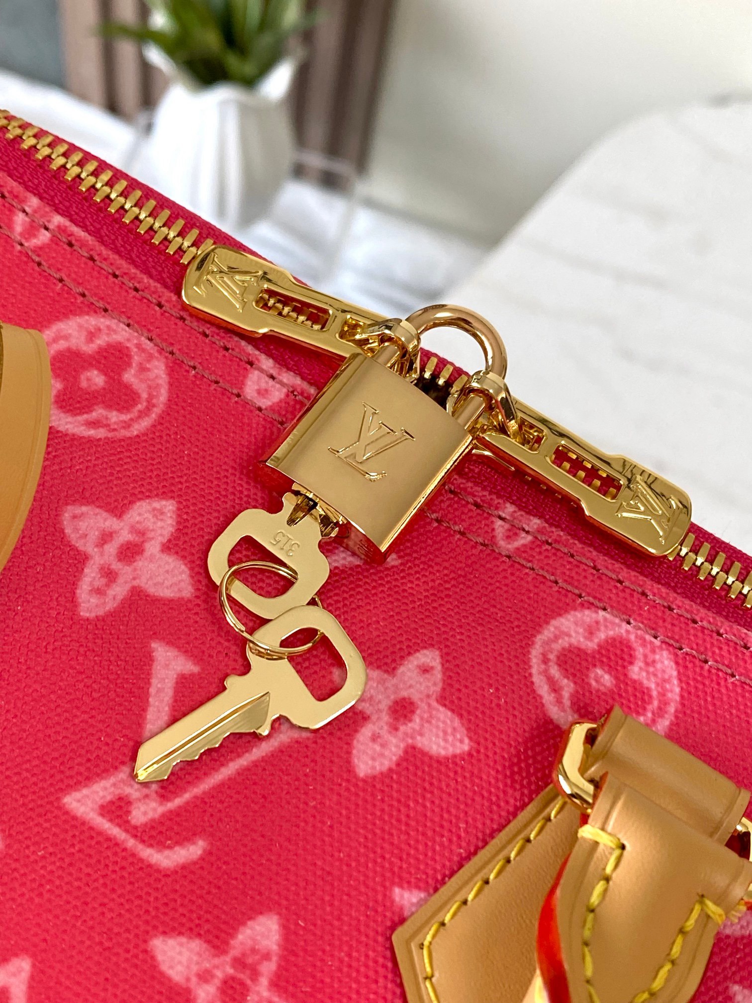 LV Speedy Bandoulière 25 Monogram Anniversary Canvas Bag Red - Image 7