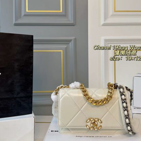 Chanel 19 Bag WOC Wallet on Chain - Image 2