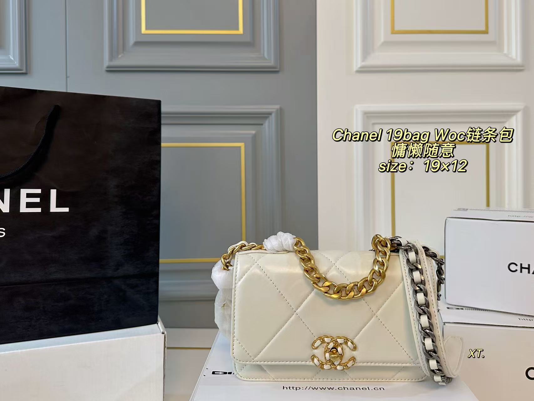 Chanel 19 Bag WOC Wallet on Chain - Image 2