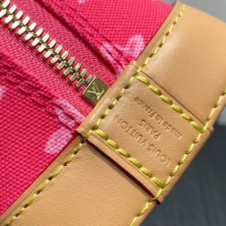 LV Alma BB Other Monogram Anniversary Canvas - Image 8