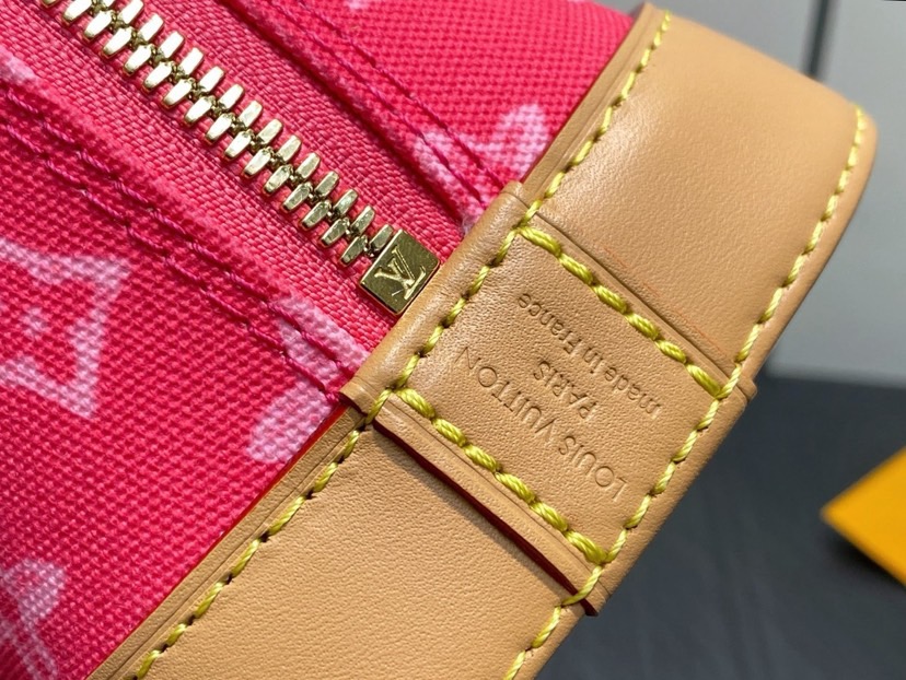 LV Alma BB Other Monogram Anniversary Canvas - Image 8