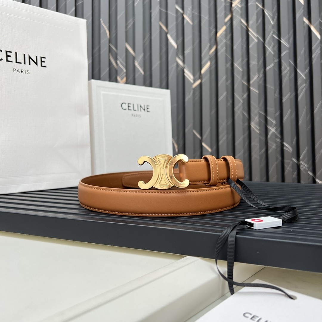 Celine Medium 25MM Triomphe Belt - Image 2